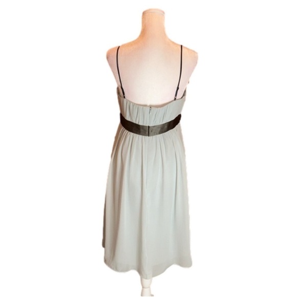 MAXANDCLEO Gorgeous 100% Silk Formal
Strapless Dress Size 8P - Picture 5 of 9